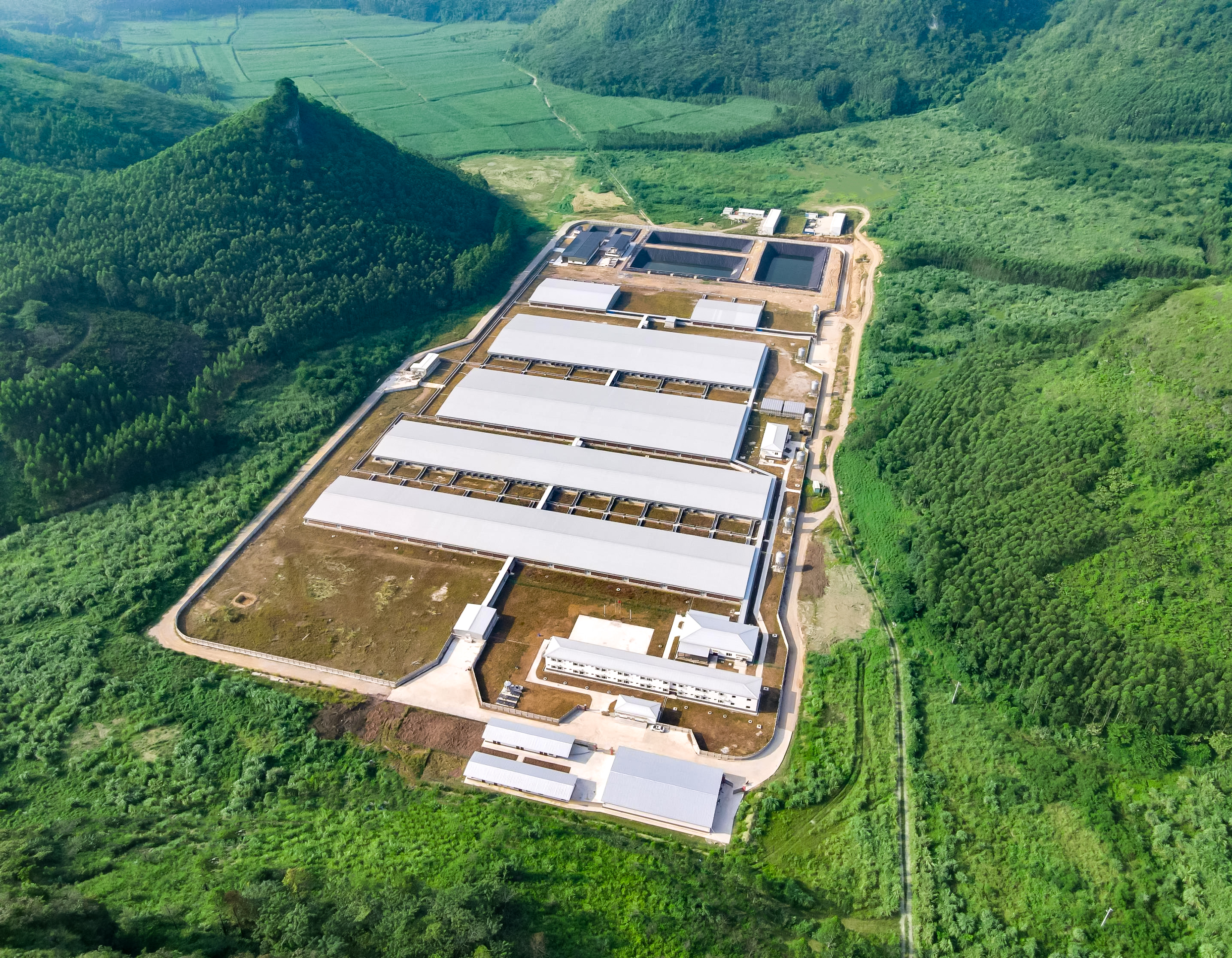 1758241853721470.jpg 第4页-25.jpg